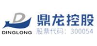 鼎龙控股